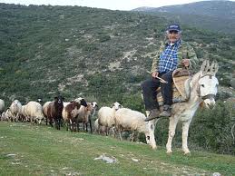 ΠΑΡΑΤΑΣΗ ΚΑΙ ΤΡΟΠΟΠΟΙΗΣΗ ΤΗΣ ΔΙΑΤΗΡΗΣΗΣ ΑΠΕΙΛΟΥΜΕΝΩΝ ΑΥΤΟΧΘΟΝΩΝ ΦΥΛΩΝ ΑΓΡΟΤΙΚΩΝ ΖΩΩΝ