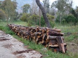 Σύλληψη επτά αλλοδαπών για παράνομη απασχόληση